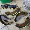 n°gd566 kit frein peugeot 205 bk1239g lucas neuf DPA86