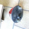 n°6ce77 feu gabarit rond axo 98349006 neuf DPA86