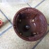 n°gd591 tete delco doigt volkswagen polo derby saab 90 ht0508 facet neuf DPA86