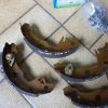 n°gd344 jeu machoire frein renault r12 r14 r18 fuego lna 343441na bendix DPA86