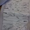 n°ma185 kit radar stationnement mazda bt50 c840v7280e neuf DPA86