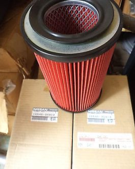 n°nd165 lot 2 filtre air nissan terrano 165463s903 neuf