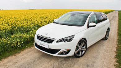 n°j14 jeu bavette arriere peugeot 308 II SW 1610092780 neuf DPA86