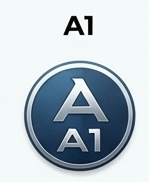 A1