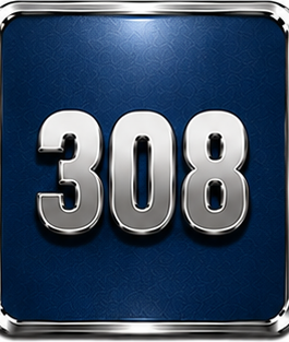 308