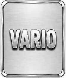 VARIO Camionnette B667