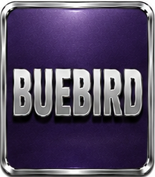 BLUEBIRD