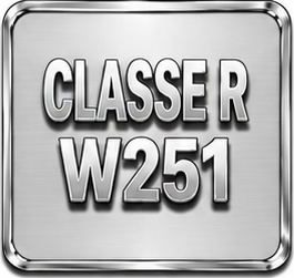 CLASSE R W251