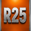 n°r25 kit reparation jeu direction innocenti bertone 557821105 neuf DPA86