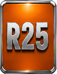 n°r25 kit reparation jeu direction innocenti bertone 557821105 neuf DPA86
