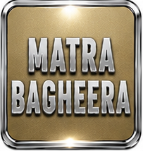 MATRA BAGHEERA (01/1974 - 09/1980)