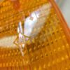 n°mc69 cabochon clignotant DAF F2800 F3300 F3600 229525 SWF neuf DPA86