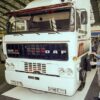 n°mc69 cabochon clignotant DAF F2800 F3300 F3600 229525 SWF neuf DPA86
