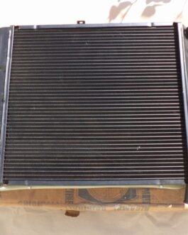 n°da30 radiateur moteur IPRA Lancia fulvia RALLY HF / zagato 1728798 neuf NOS DPA86